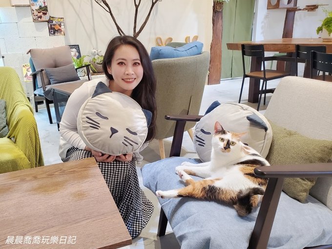 宜蘭貓咪咖啡廳推薦【漫步小森林】超可愛米克斯&amp;貓咪店長，一起