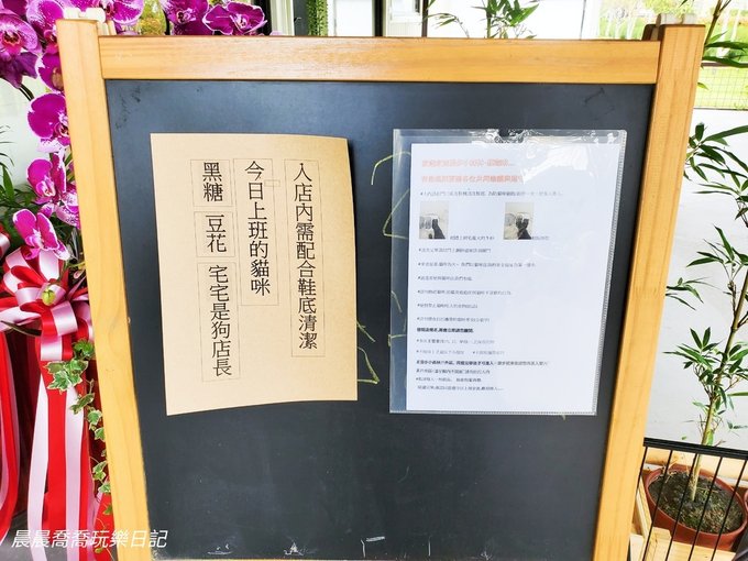 宜蘭貓咪咖啡廳推薦【漫步小森林】超可愛米克斯&amp;貓咪店長，一起