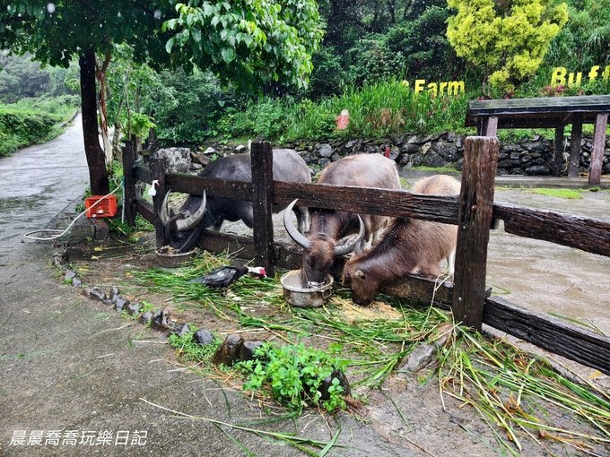 宜蘭親子住宿飯店頭城農場