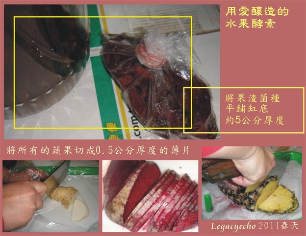 酵素03.jpg