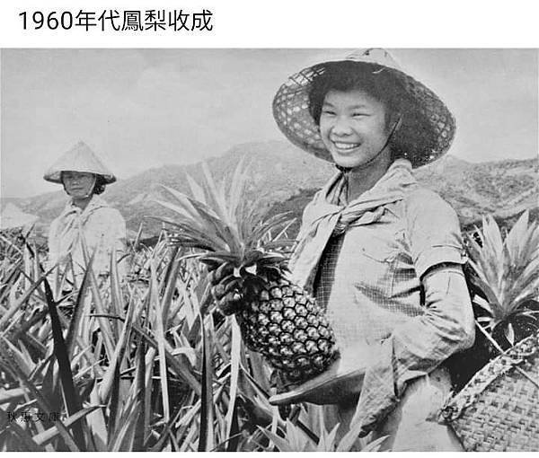 新竹縣老照片/新竹竹東懷舊篇