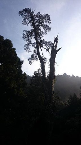 DSC_4777.JPG