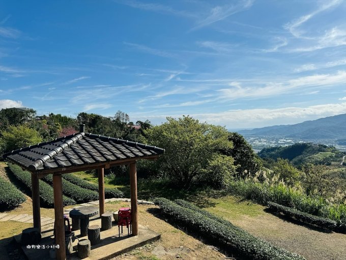 宜蘭大同【玉蘭茶園】初春櫻花相伴，漫步穿梭茶園小徑，遠眺蘭陽