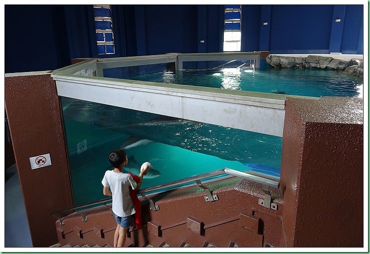 20140725_002 小樽水族館 161s