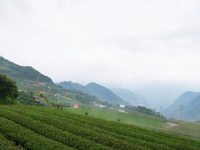 PJ嘉義旅遊阿里山景點2日遊