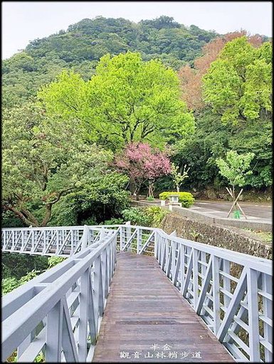 觀音山林梢步道-2_023.jpg