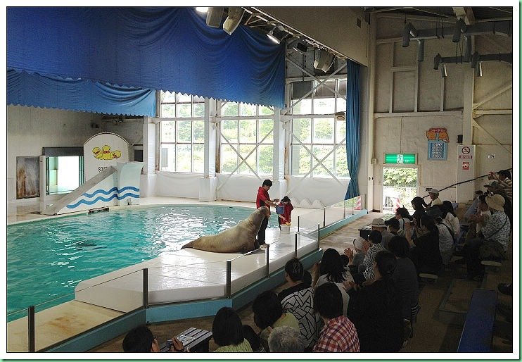 20140725_002 小樽水族館 510s