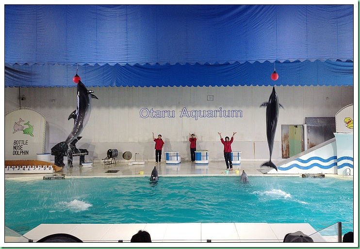 20140725_002 小樽水族館 526s