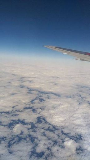 IMAG0834.jpg