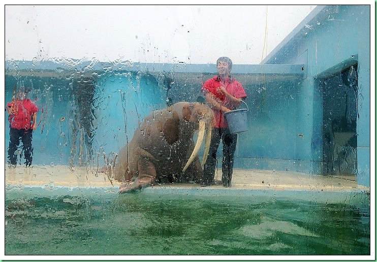 20140725_002 小樽水族館 616s