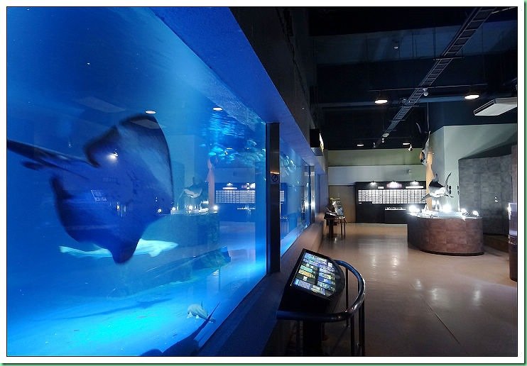 20140725_002 小樽水族館 156s