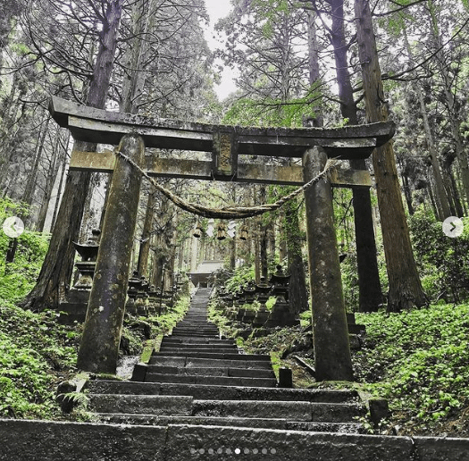 台灣日治時期神社的紋章/社徽