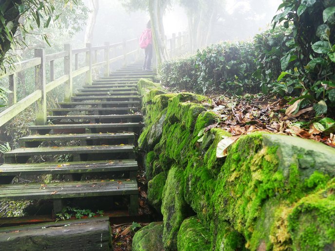 PJ大俠嘉義旅遊阿里山景點樂野來吉山豬部落