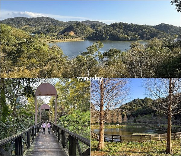 60苗栗旅遊。西湖渡假村。苗栗住宿推薦。中部旅遊。中部景點。親子景點。恐龍。桐花。螢火蟲.jpg