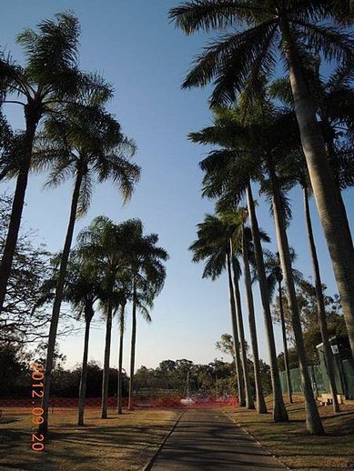 Burnett River