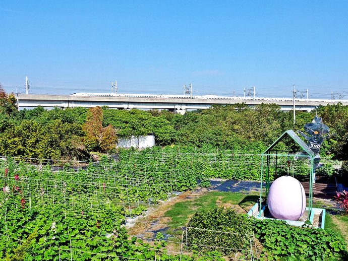 田中窯創藝園區賞花