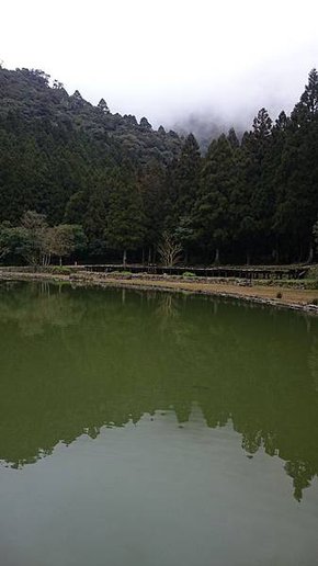 DSC_4713.JPG