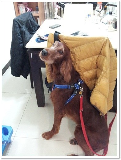20131126_220847.jpg