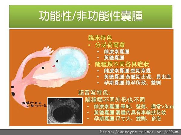 funcitonal cyst.jpg