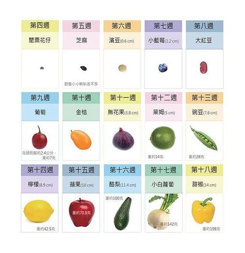 weight-by-fruit-1.jpg