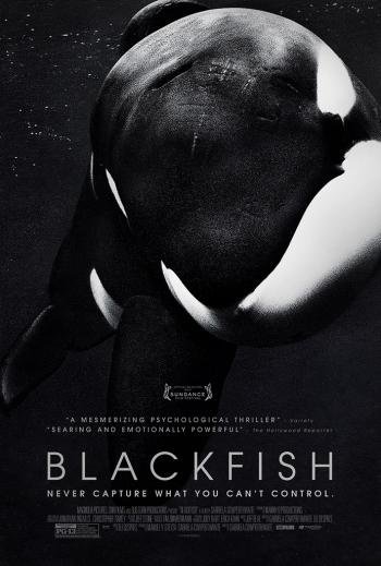 Blackfish 電影海報