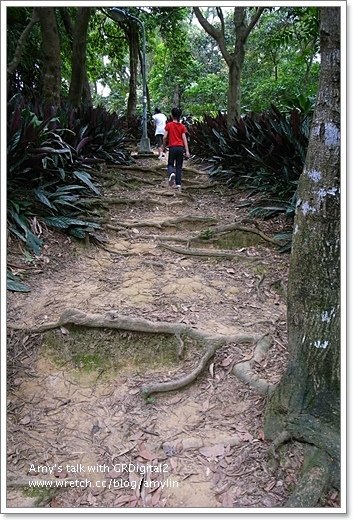 仙跡岩