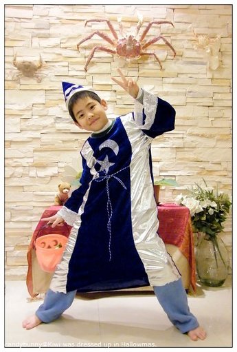 04.Kiwi was dressed up in Hallowmas.JPG