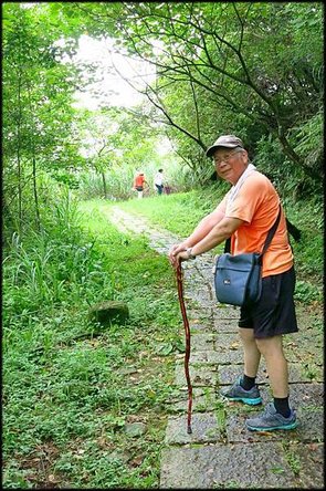 平湖森林步道_54.jpg