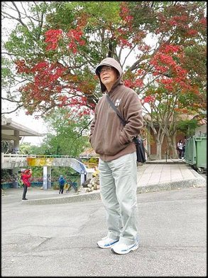 石門水庫落羽松紅_77.jpg
