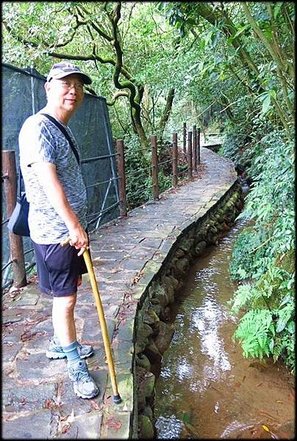 水圳步道、水車寮步道_041.jpg