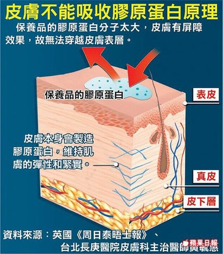 白抹了 膠原蛋白無助回春.jpg