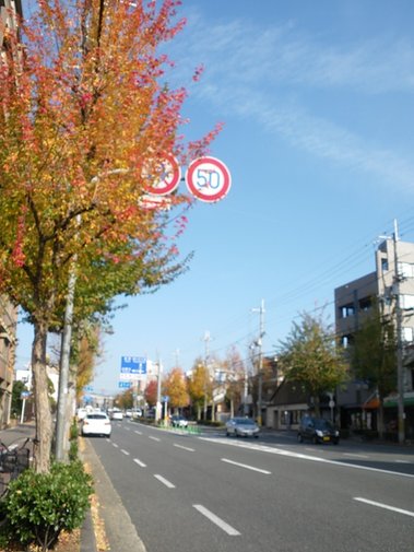 IMGP0729.JPG