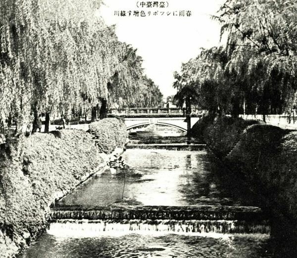 台中綠川百年櫻橋/全台首條「綠空鐵路花園廊道」/「櫻橋」興建
