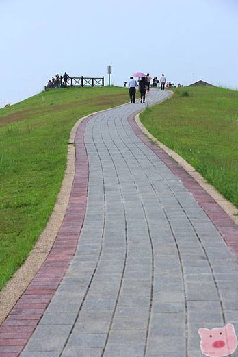 IMG_4542.JPG