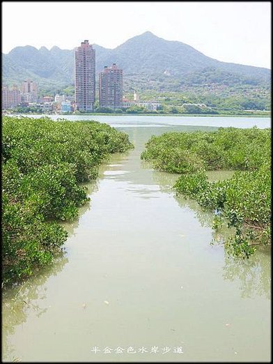 金色水岸自行車步道_044.jpg