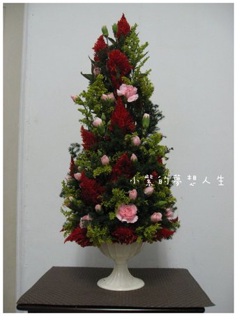20110211-1.JPG