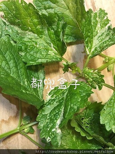 都兜盒子部落格_180628_0296