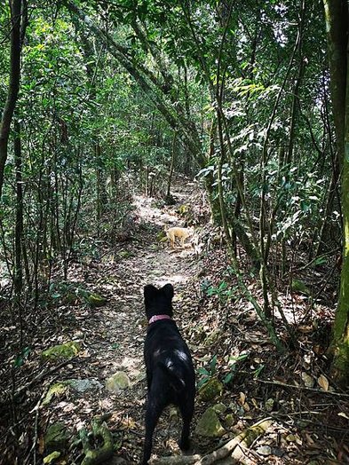 Hiking in Guguan｜Mountain Baim