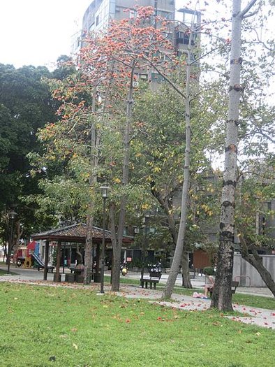 CIMG3926.JPG