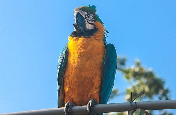 IMG_7639.jpg