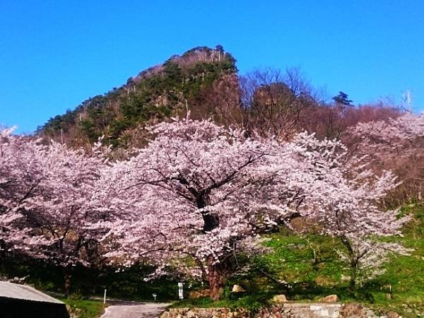 黃金之島  佐渡島