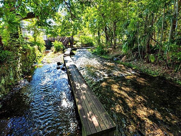 水鄉三島市  三嶋大社  御殿川  三島大吊橋