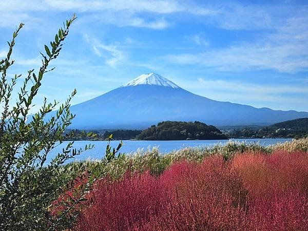 河口湖  山中湖 亂亂遊