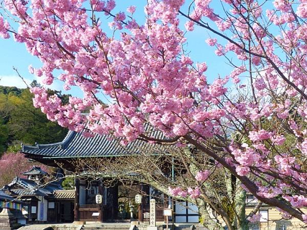 大津石山寺 、石山詣、致光之君大河戲劇館、、紫式部、光之君彩