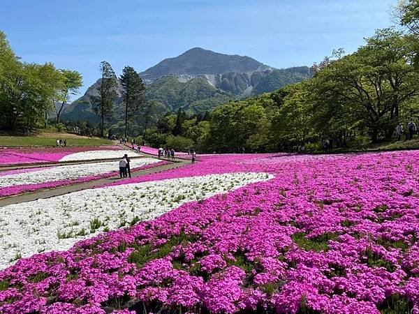 羊山