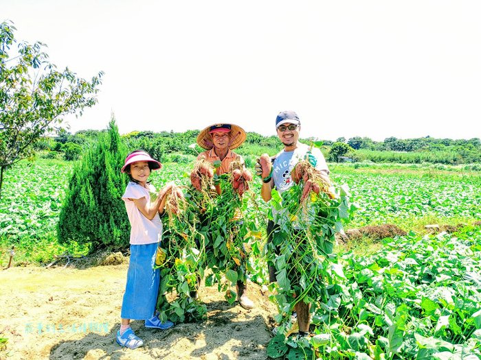 萬里景點2020推薦 挖地瓜1.jpg