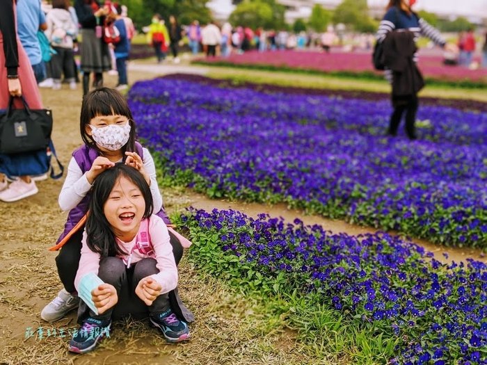 古亭河濱公園花海怎麼去/交通? 紫色漸層花地毯好仙! 週邊水