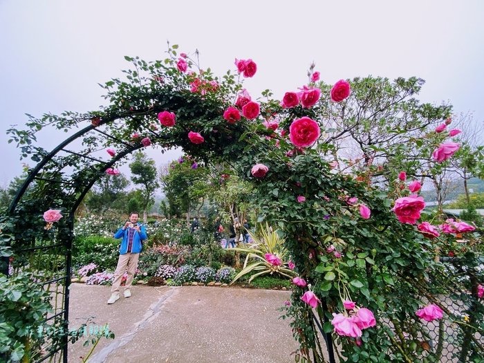 雅聞香草植物工廠 (40).jpg