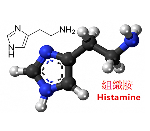 組織胺的產生與代謝-台北組織胺分析(全血)