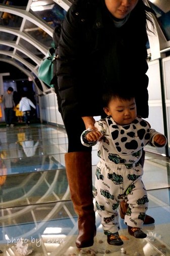 台灣玻璃館30-20141226.JPG